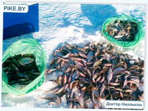 зимняя рыбалка на Белом озере
