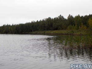 Материнское озеро Руденск Дружный
