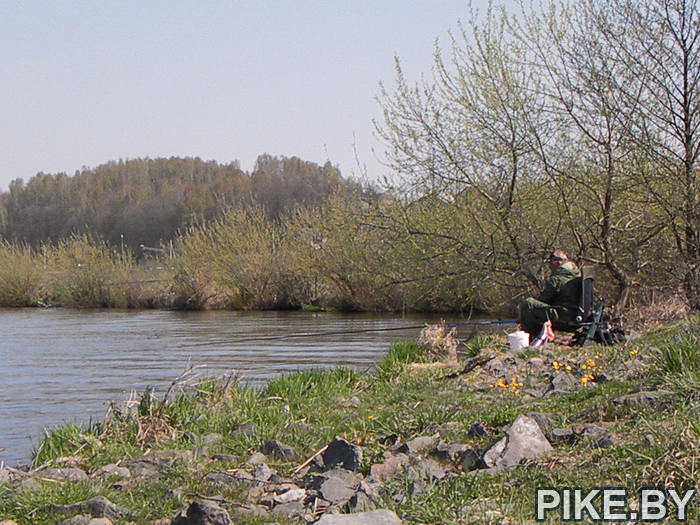 Рыбалка на Волчковичском