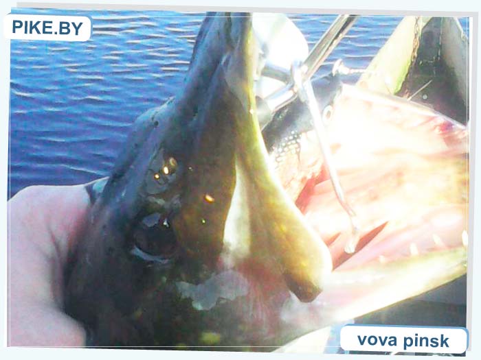 Рыбалка на Припяти