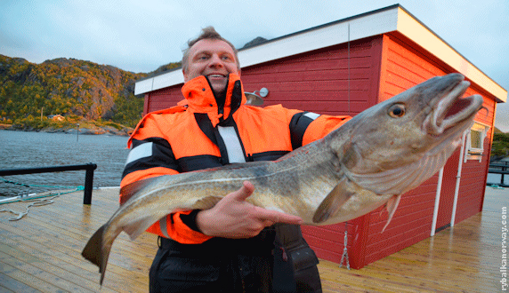 рыбалка в Норвегии