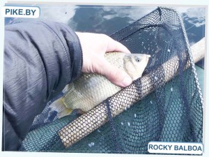 рыбалка на Лукомском озере