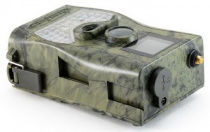 Камеры слежения или фотоловушки для охоты