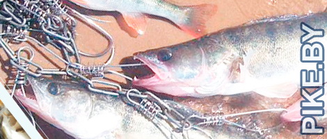 Рыбалка на Вилейском водохранилище ЛЕТОМ