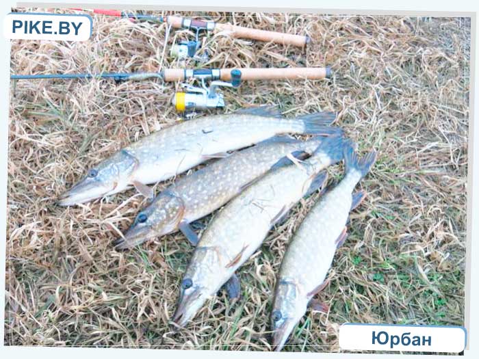 Рыбалка на Восточной Березине зимой