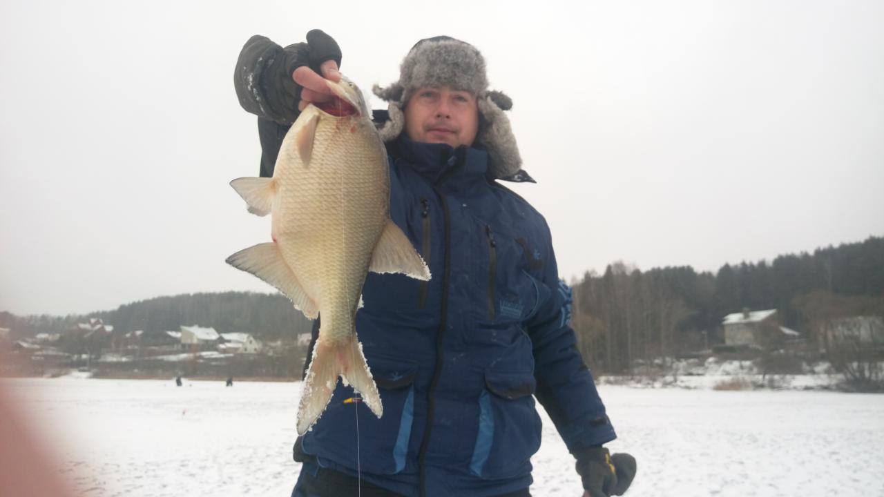  djam Прошел вчера от дамбы до дамбы ... | Отчеты о рыбалке в Беларуси