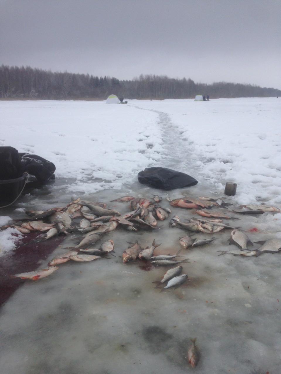 Щука домашним приелась, поэтому выдвинулся наконец на мою ... | Отчеты о рыбалке в Беларуси