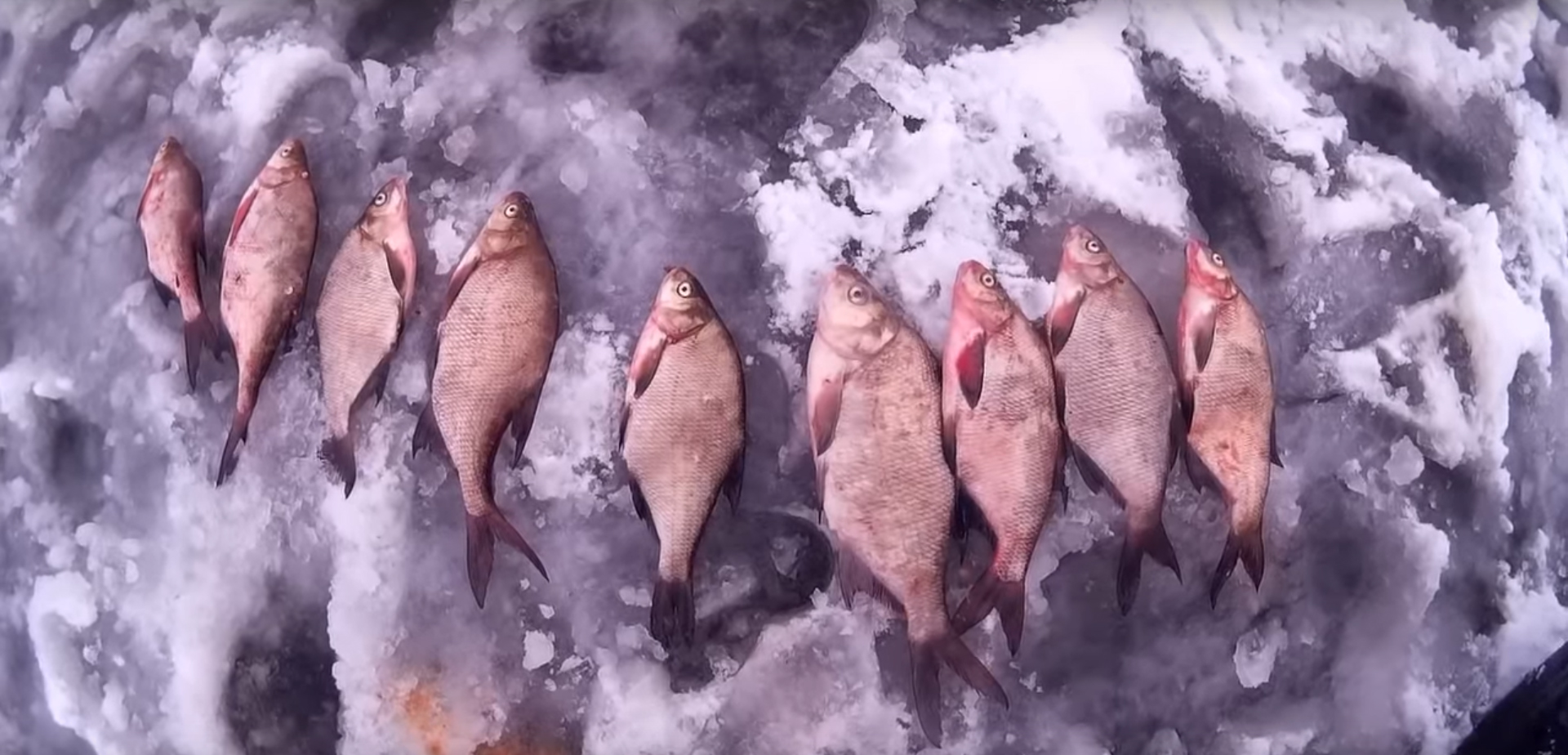 Открытие сезона ночной зимней рыбалки, на Вилейском водохранилище (Видео)