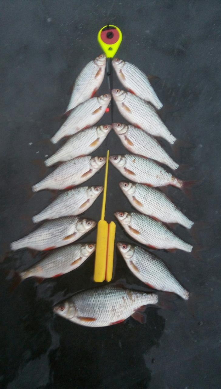  fishman20. Лучший новый год,это на озере с друзьями ... | Отчеты о рыбалке в Беларуси
