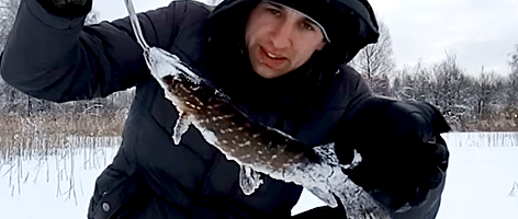 Ловля Щуки на Жерлицы. Зимняя Рыбалка на Платном Водоеме (Видео)