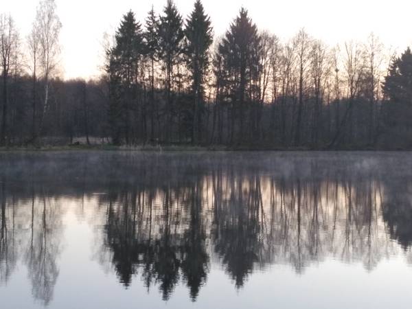  В понедельник , подловив хоть какое-то подобие сносной ... | Отчеты о рыбалке в Беларуси