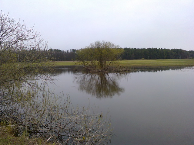  Первые вылазки.Несмотря на раннюю весну, холодная погода упорно ... | Отчеты о рыбалке в Беларуси