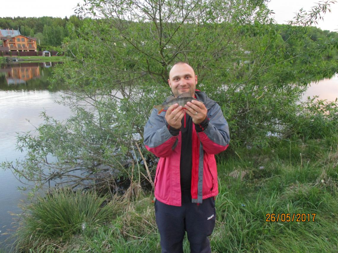  Сегодня после работы с супругой только приехали,прибыли на ... | Отчеты о рыбалке в Беларуси