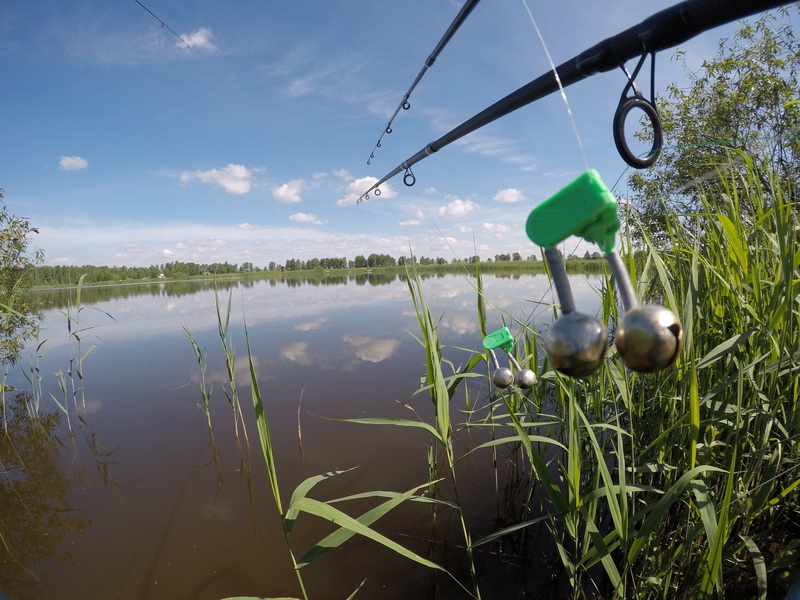 Платная рыбалка на рыбхозе Волма ... | Отчеты о рыбалке в Беларуси