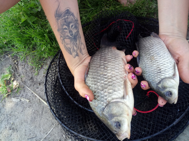 Платная рыбалка на рыбхозе Волма ... | Отчеты о рыбалке в Беларуси
