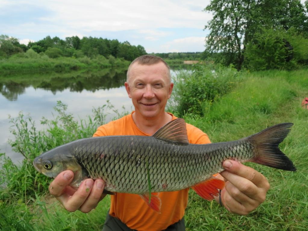  Посетили с Валерием Викторовичем Неман в субботу, а ... | Отчеты о рыбалке в Беларуси