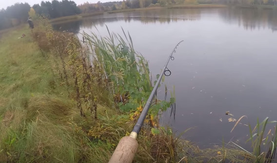 База отдыха рыбное хозяйство Щарка  ... | Отчеты о рыбалке в Беларуси