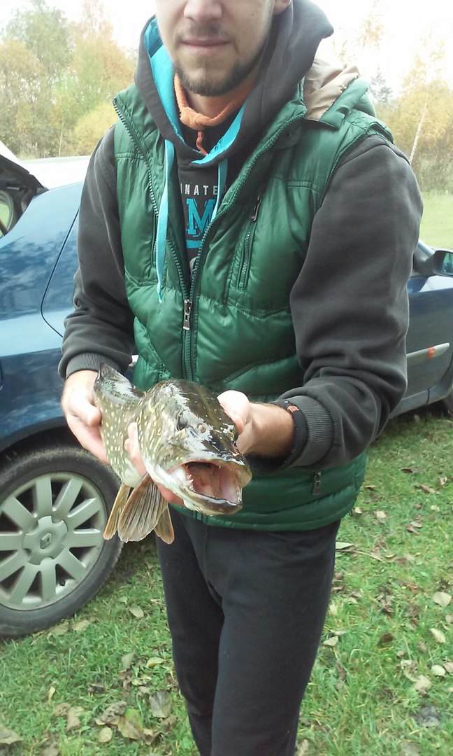  Вчера побывал на любимой речке. Зная что уровень ... | Отчеты о рыбалке в Беларуси