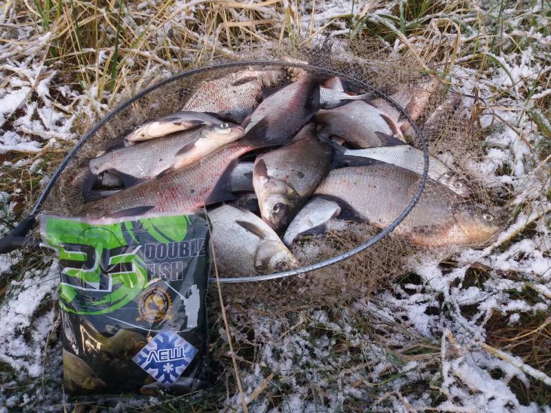 Вчера дружной компашкой провели морозный день за ... | Отчеты о рыбалке в Беларуси