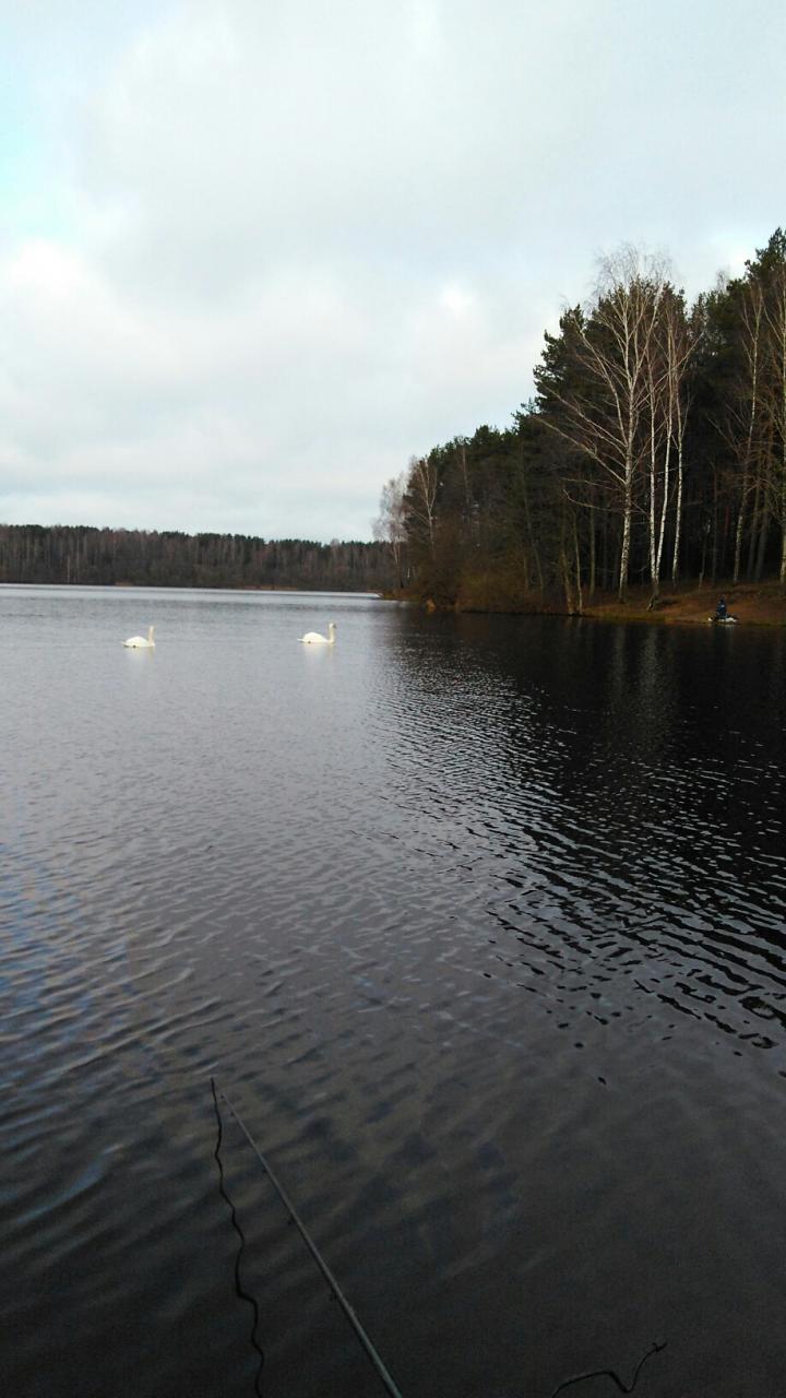  Руслан (rupasa) любезно предложил в субботу съездить на ... | Отчеты о рыбалке в Беларуси