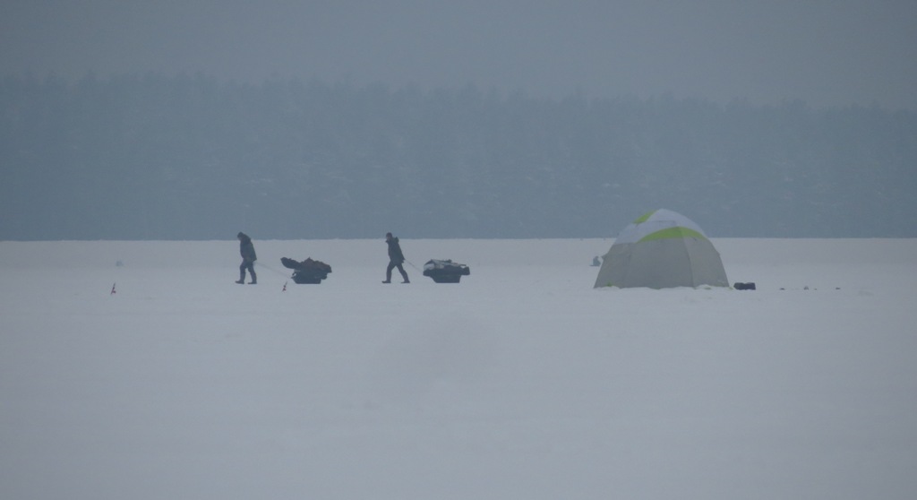 Наконец раскрасила зима природу "зимней сказкой"... | Отчеты о рыбалке в Беларуси
