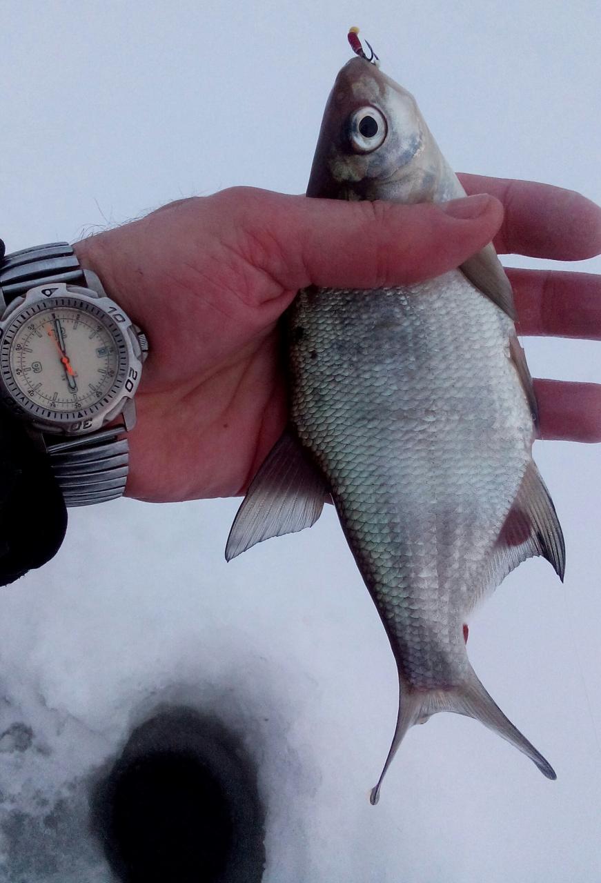  19 февраля 2018 г. (понедельник) д.Ходорова :...Прогноз погоды ... | Отчеты о рыбалке в Беларуси