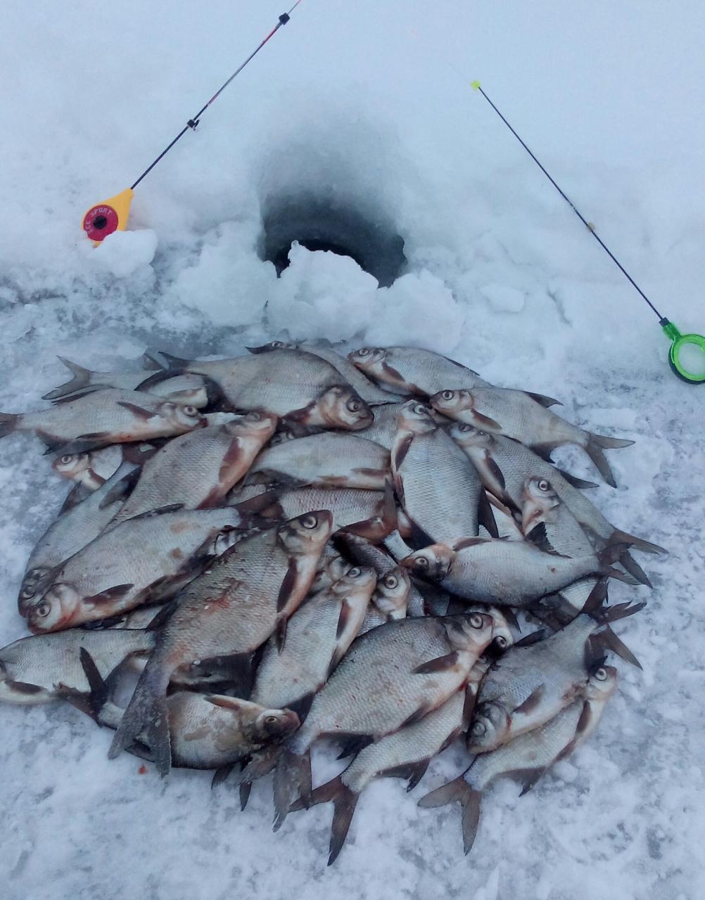  19 февраля 2018 г. (понедельник) д.Ходорова :...Прогноз погоды ... | Отчеты о рыбалке в Беларуси
