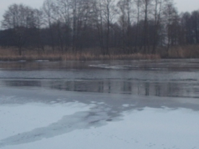  вчера снова был на твёрдой воде! русло открыто(петровичи)идёт ... | Отчеты о рыбалке в Беларуси