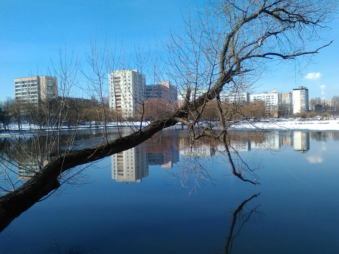 Был сегодня в районе Денисовского моста ... | Отчеты о рыбалке в Беларуси