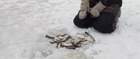 Рыбалка на Минском море — подлещик и плотва в р-не 5-ого пляжа