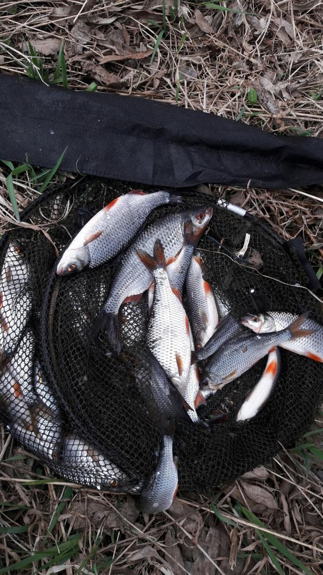  Не выдержали сидеть дома и не смотряна штормовое ... | Отчеты о рыбалке в Беларуси