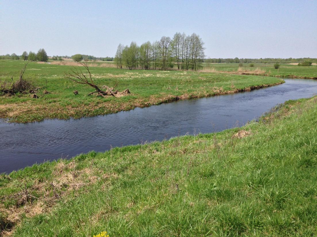 Как известно: "лучше плохой день на рыбалке, чем ... | Отчеты о рыбалке в Беларуси