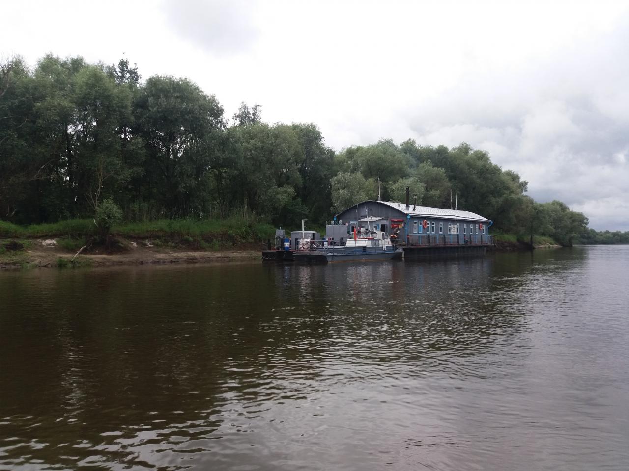  Был вчера на Микашах. Не смотря на дождь ... | Отчеты о рыбалке в Беларуси