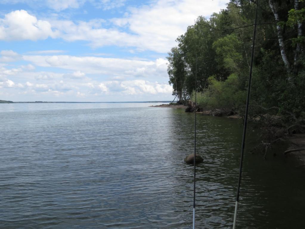  Побывали с Наташей на Вилейке эти три дня ... | Отчеты о рыбалке в Беларуси