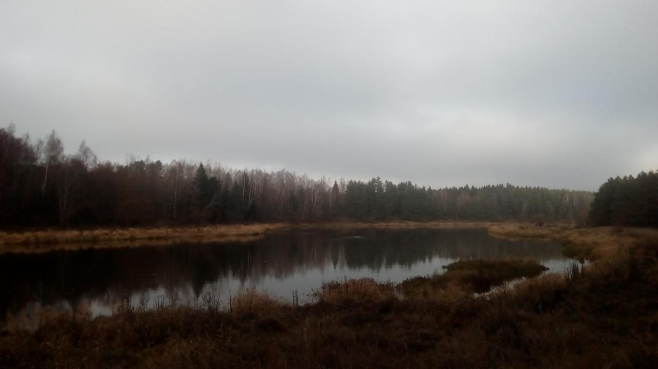  Вчера Вилия снова порадовала, не количеством поклёвок, так ... | Отчеты о рыбалке в Беларуси