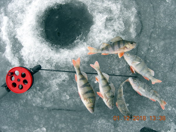  Пока со льдом непонятно, решил, ай, один раз ... | Отчеты о рыбалке в Беларуси
