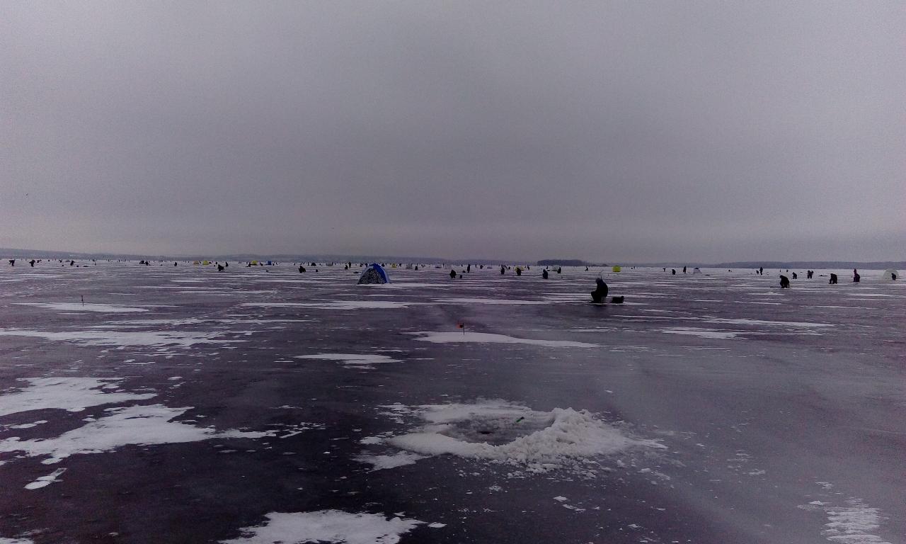  Сегодня ловил недалеко от дамбы, с 10 до ... | Отчеты о рыбалке в Беларуси