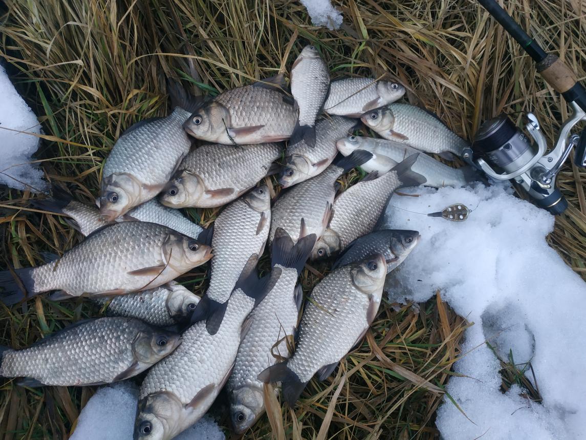  В последний плюсовой день перед похолоданием не смог ... | Отчеты о рыбалке в Беларуси