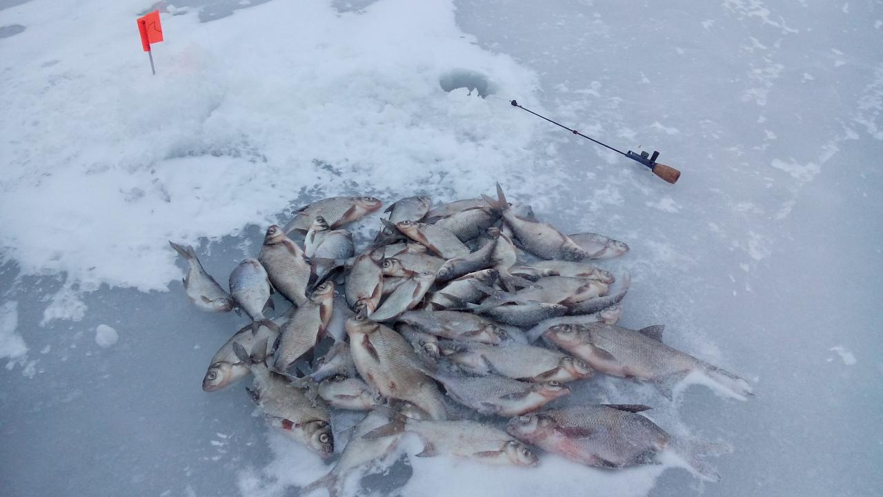  23 февраля 2019 г.( суббота)первая стоянка :... Третий ... | Отчеты о рыбалке в Беларуси