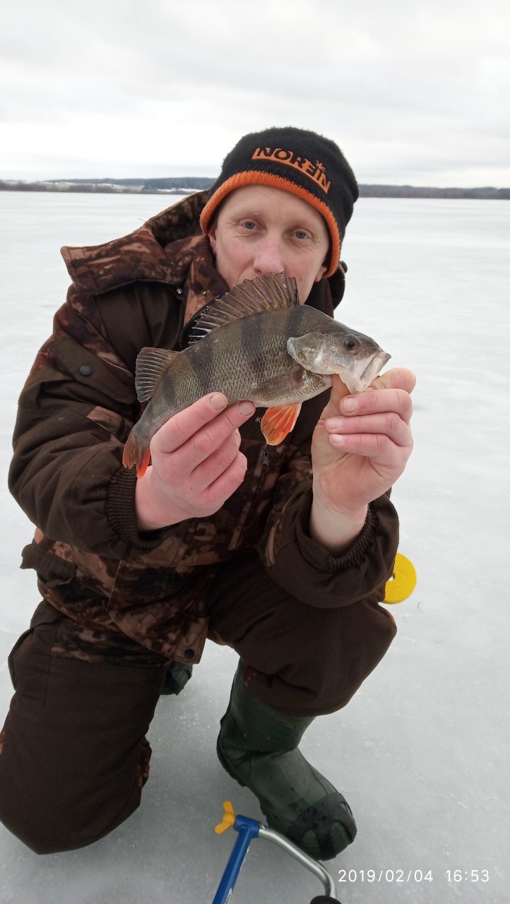 Печаль, сегодня один достойный фото 390гр, несколько ладошечных ... | Отчеты о рыбалке в Беларуси