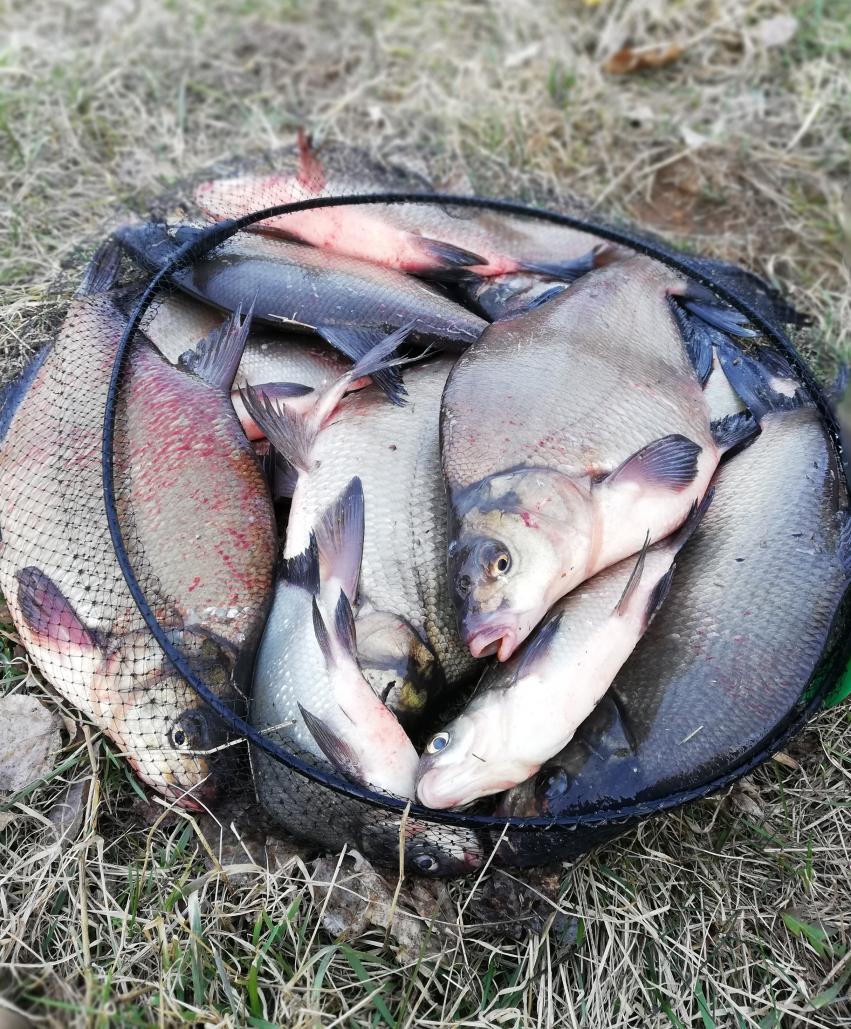 24.03.2019 попробовал поискать рыбку. Рыбка пришла к 11.00 ... | Отчеты о рыбалке в Беларуси