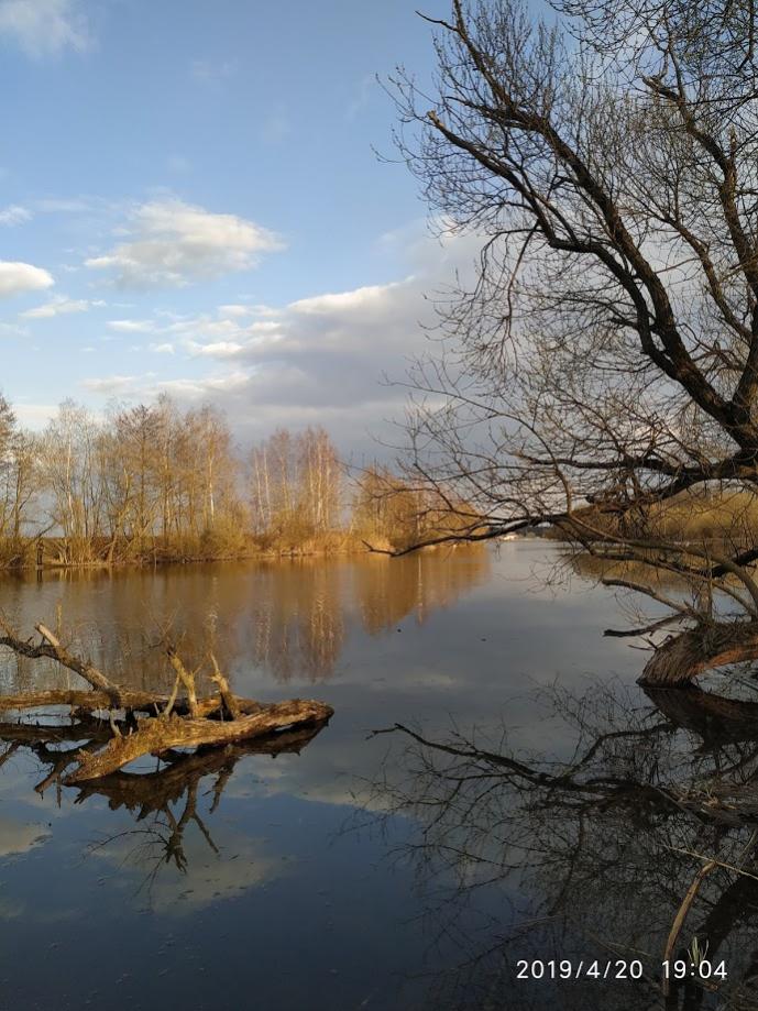  сегодня с другом решили попробовать рыбацкого счастья на ... | Отчеты о рыбалке в Беларуси