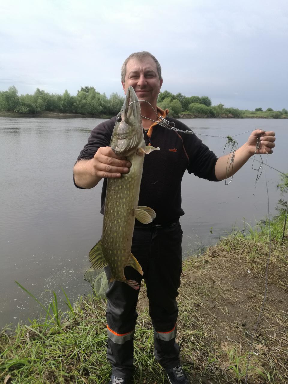  Добрый, были на Припяти с 5 по 7.Сразу ... | Отчеты о рыбалке в Беларуси