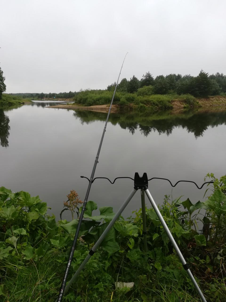  На неделе посетил реку. Был в раене Делятич ... | Отчеты о рыбалке в Беларуси