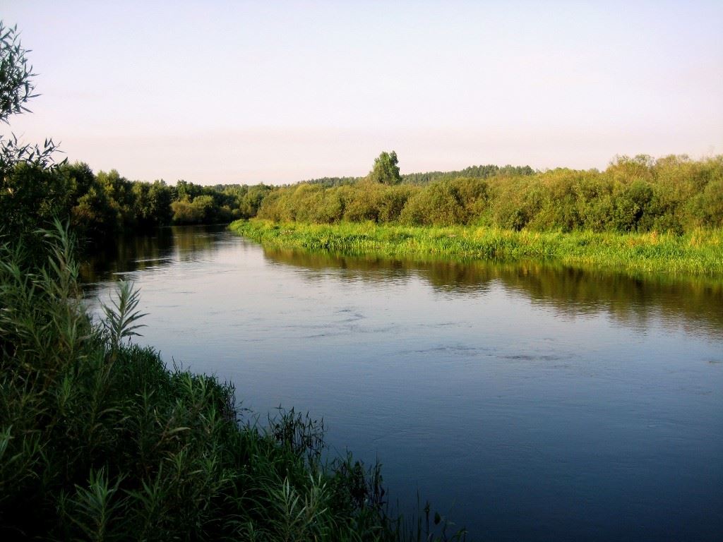  На неделе были семьей на реке, я, жена ... | Отчеты о рыбалке в Беларуси