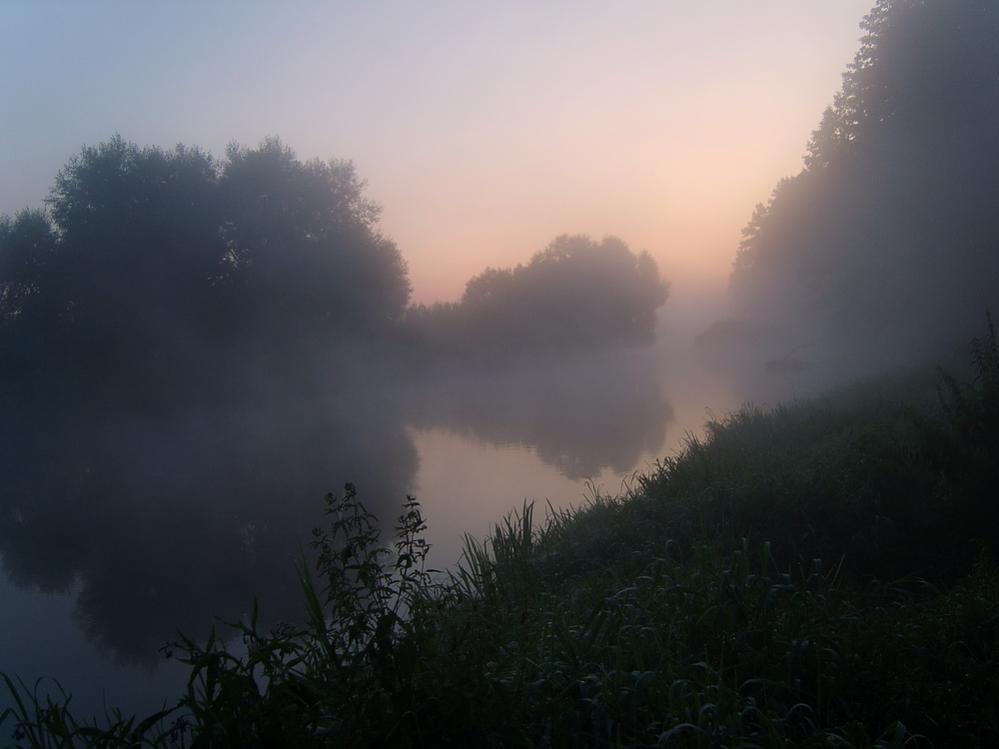  Выбрались на реку с фидерами проверить местного леща ... | Отчеты о рыбалке в Беларуси