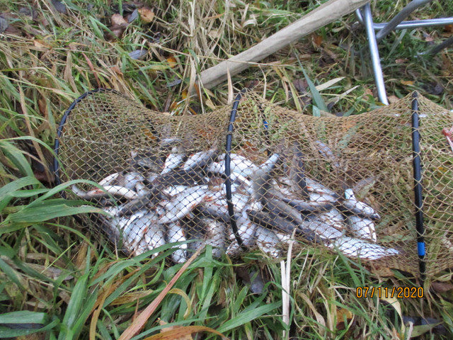  В эту субботу решил отдохнуть от щучьих рыбалок ... | Отчеты о рыбалке в Беларуси