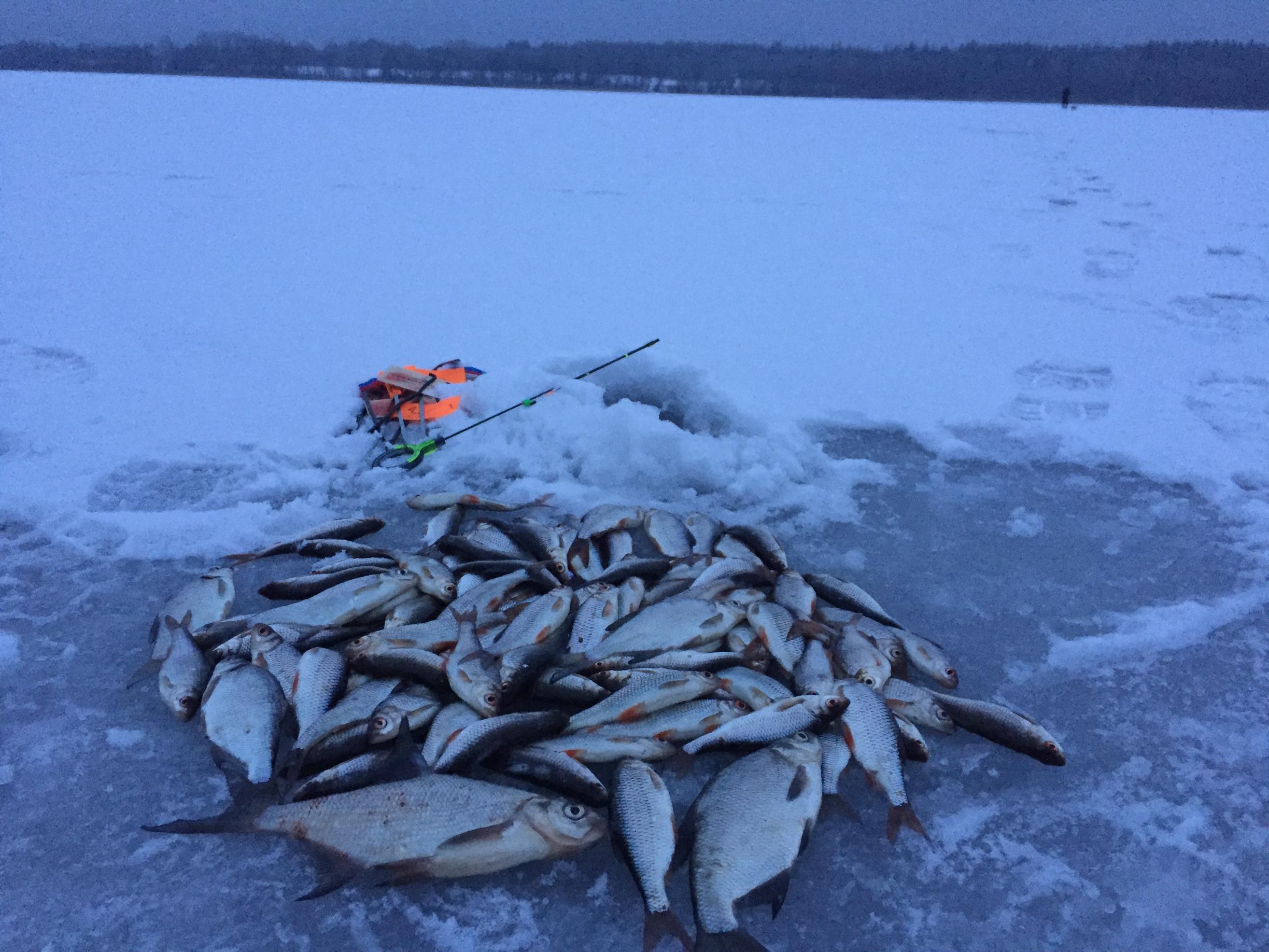  3 января 2021 г. Воскресенье ( д.Ходорова ):…Первая ... | Отчеты о рыбалке в Беларуси