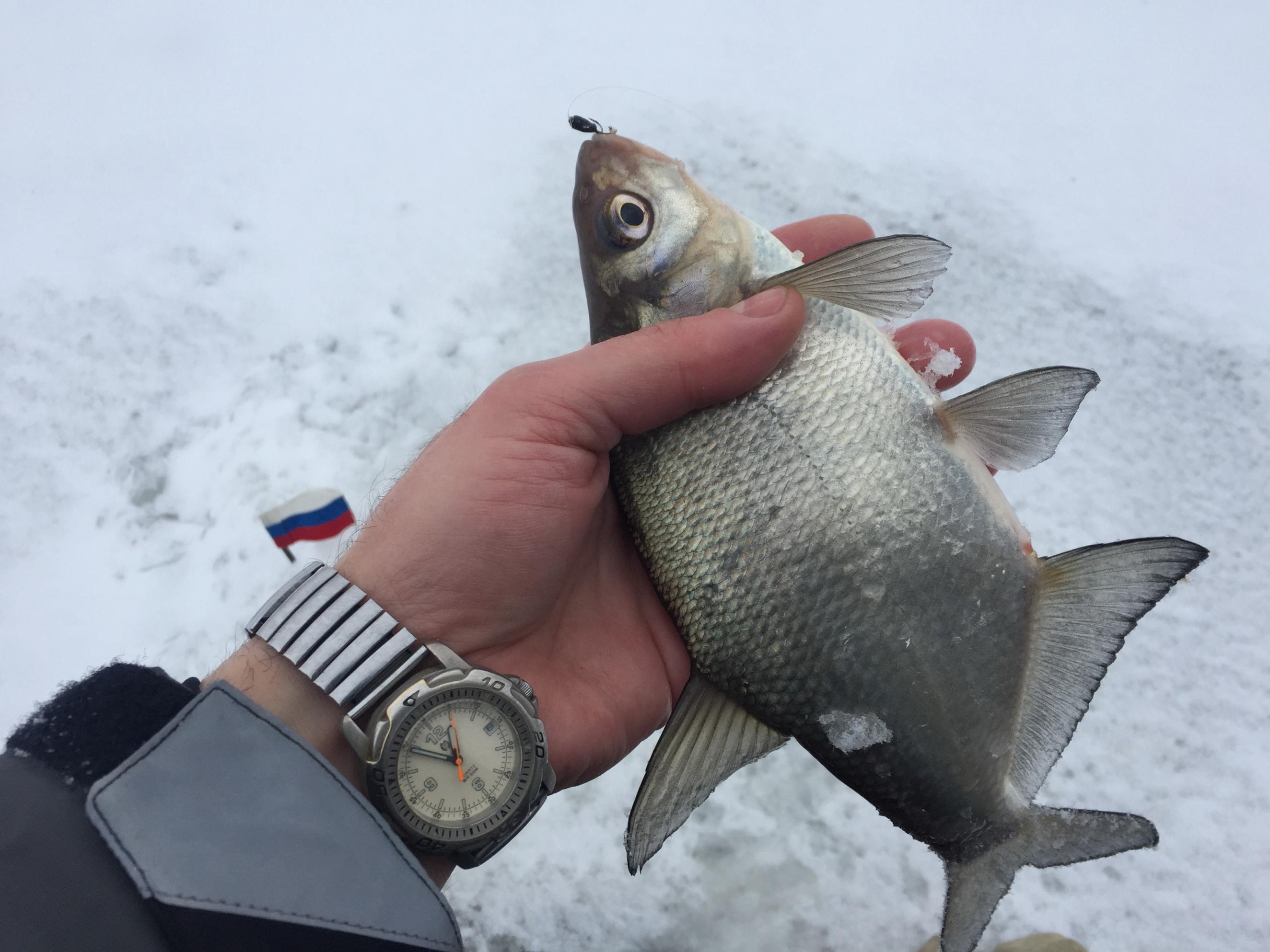  8 января 2021 г. Оз. Сесито ( Зайково ... | Отчеты о рыбалке в Беларуси
