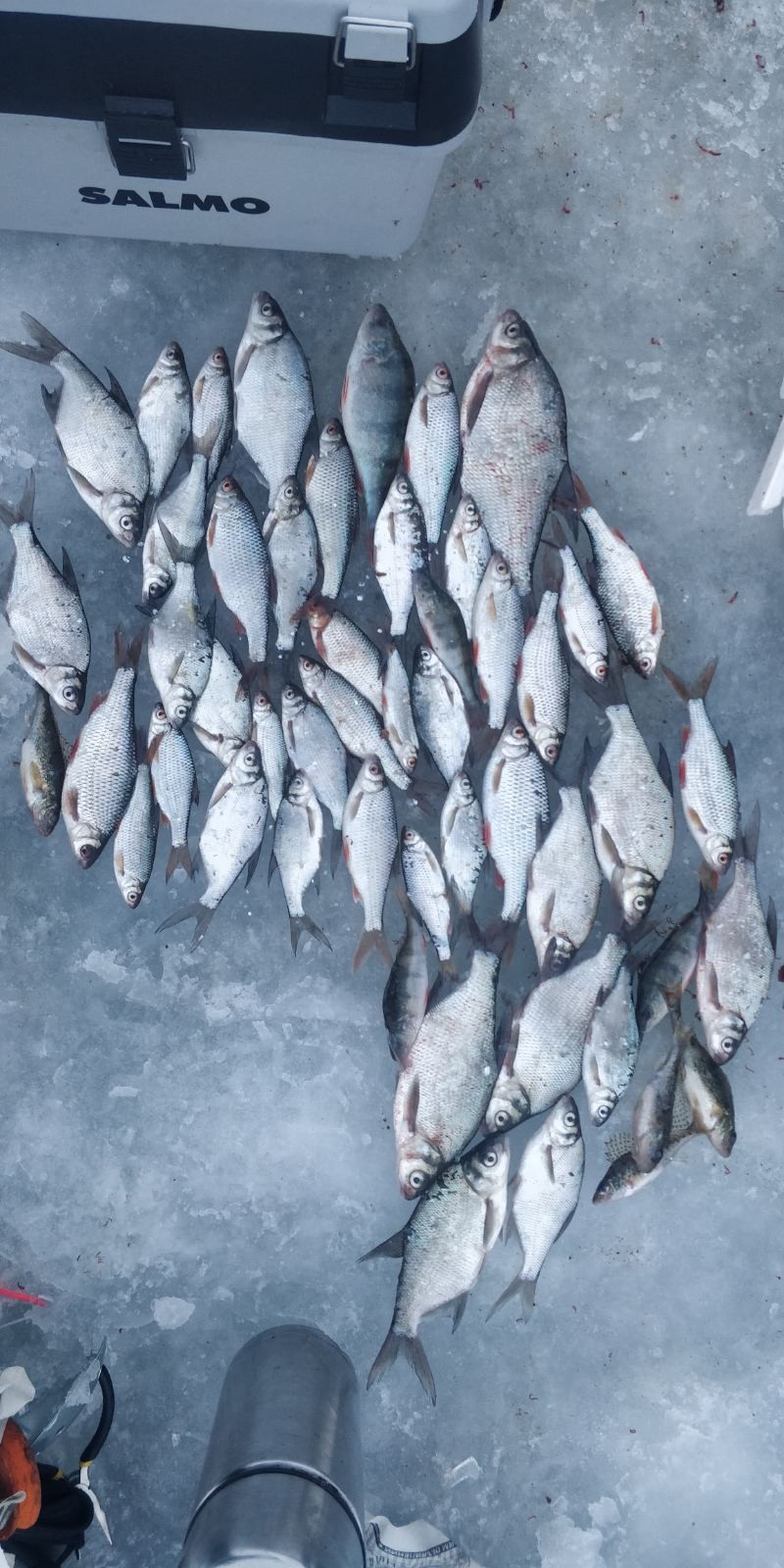  Были сегодня недалеко от слива,хороший денек рыбка поклевывала ... | Отчеты о рыбалке в Беларуси